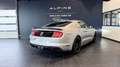 Ford Mustang Mustang Fastback V8 5.0 Grijs - thumbnail 3