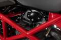 Ducati Hypermotard 1100 TAGLIANDO COMPLETO APPENA ESEGUITO Rojo - thumbnail 12