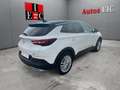 Opel Grandland X 1.2T S&S Excellence 130 Blanco - thumbnail 6