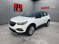 Opel Grandland X 1.2T S&S Excellence 130 Blanco - thumbnail 1