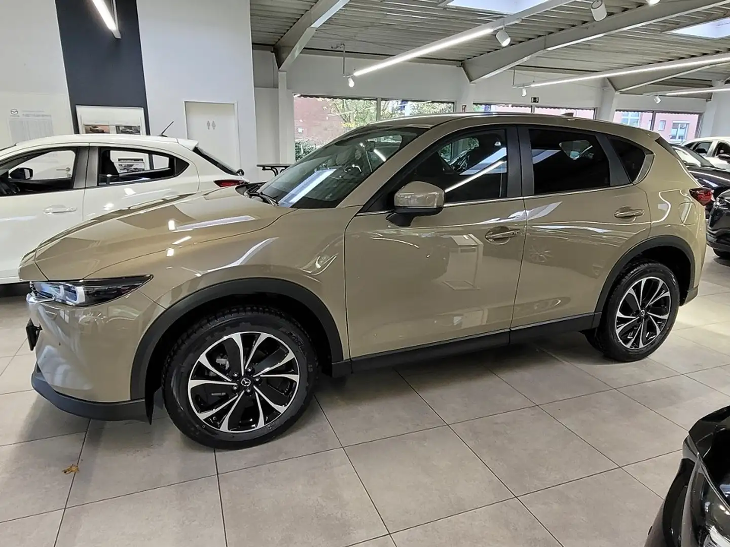 Mazda CX-5 Skyactiv 2.5 l G 194 PS AT FWD ADVANTAGE Beige - 2