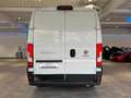 Fiat Ducato 2,2 HDI*L2-H2*Hoch+Lang*Garantie* Weiß - thumbnail 11