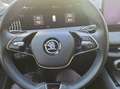 Skoda Superb Combi Selection 2.0 TDI DSG AHK/Kamera/Na Schwarz - thumbnail 10