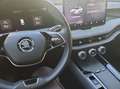 Skoda Superb Combi Selection 2.0 TDI DSG AHK/Kamera/Na Schwarz - thumbnail 13
