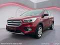 Ford Kuga 1.5 EcoBoost ECO FWD Business Class Rood - thumbnail 2