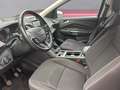 Ford Kuga 1.5 EcoBoost ECO FWD Business Class Rood - thumbnail 7