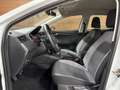 SEAT Ibiza 1.0 TSI 5 deurs Style | Beats Audio | Bluetooth | Blanc - thumbnail 35
