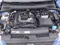 SEAT Ibiza Business 1.0 Benzina 95CV Blu/Azzurro - thumbnail 13