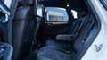 Porsche Macan MACAN GTS REAR ENTERT.*PANO*ACC*SPORT CHRONO Blanc - thumbnail 8