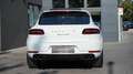 Porsche Macan MACAN GTS REAR ENTERT.*PANO*ACC*SPORT CHRONO Blanc - thumbnail 17