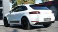 Porsche Macan MACAN GTS REAR ENTERT.*PANO*ACC*SPORT CHRONO Blanc - thumbnail 2