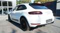 Porsche Macan MACAN GTS REAR ENTERT.*PANO*ACC*SPORT CHRONO Blanc - thumbnail 15