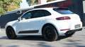 Porsche Macan MACAN GTS REAR ENTERT.*PANO*ACC*SPORT CHRONO Blanc - thumbnail 13