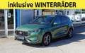 Ford Kuga 2,5 Duratec FHEV ST-Line X Aut. Grün - thumbnail 1