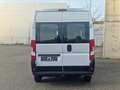 Fiat Ducato 140 L4 verglast Klimaaut AHK Standheizung Blanco - thumbnail 8