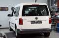 Volkswagen Caddy CADDY 2.0TDI *TRENDLINE*DSG*KLIMA*PDC* Weiß - thumbnail 7