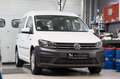 Volkswagen Caddy CADDY 2.0TDI *TRENDLINE*DSG*KLIMA*PDC* Weiß - thumbnail 4