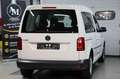 Volkswagen Caddy CADDY 2.0TDI *TRENDLINE*DSG*KLIMA*PDC* Weiß - thumbnail 5