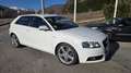 Audi A3 2.0TDI Ambition DPF Weiß - thumbnail 26