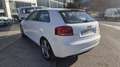 Audi A3 2.0TDI Ambition DPF Weiß - thumbnail 9