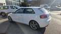 Audi A3 2.0TDI Ambition DPF Weiß - thumbnail 22