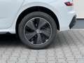 Skoda Kamiq Monte Carlo 1,0 TSI 85kW MJ26 85 kW (116 PS), S... - thumbnail 6