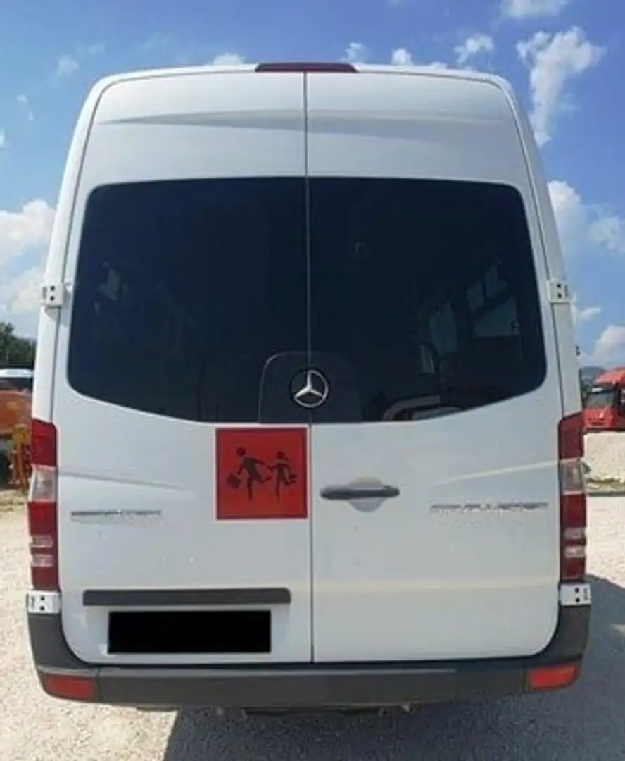 Mercedes-Benz Sprinter 516 Scuolabus Bianco - 2