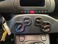 Fiat Panda 1.0 FireFly  Hybrid Manuale  * KM0 * Blau - thumbnail 22
