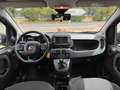 Fiat Panda Cross 1.0(69PS) Klima, PDC, SHZ Grau - thumbnail 5