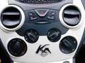 Ford Ka/Ka+ 1.2 Champions Edition start/stop STOELVERWARMING! Schwarz - thumbnail 14