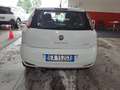 Fiat Punto Evo 5p 1.4 benzina easypower Blue euro5 Weiß - thumbnail 5