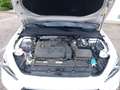 SEAT Leon FR 1,5 TSI ACT, 130 PS Weiß - thumbnail 26
