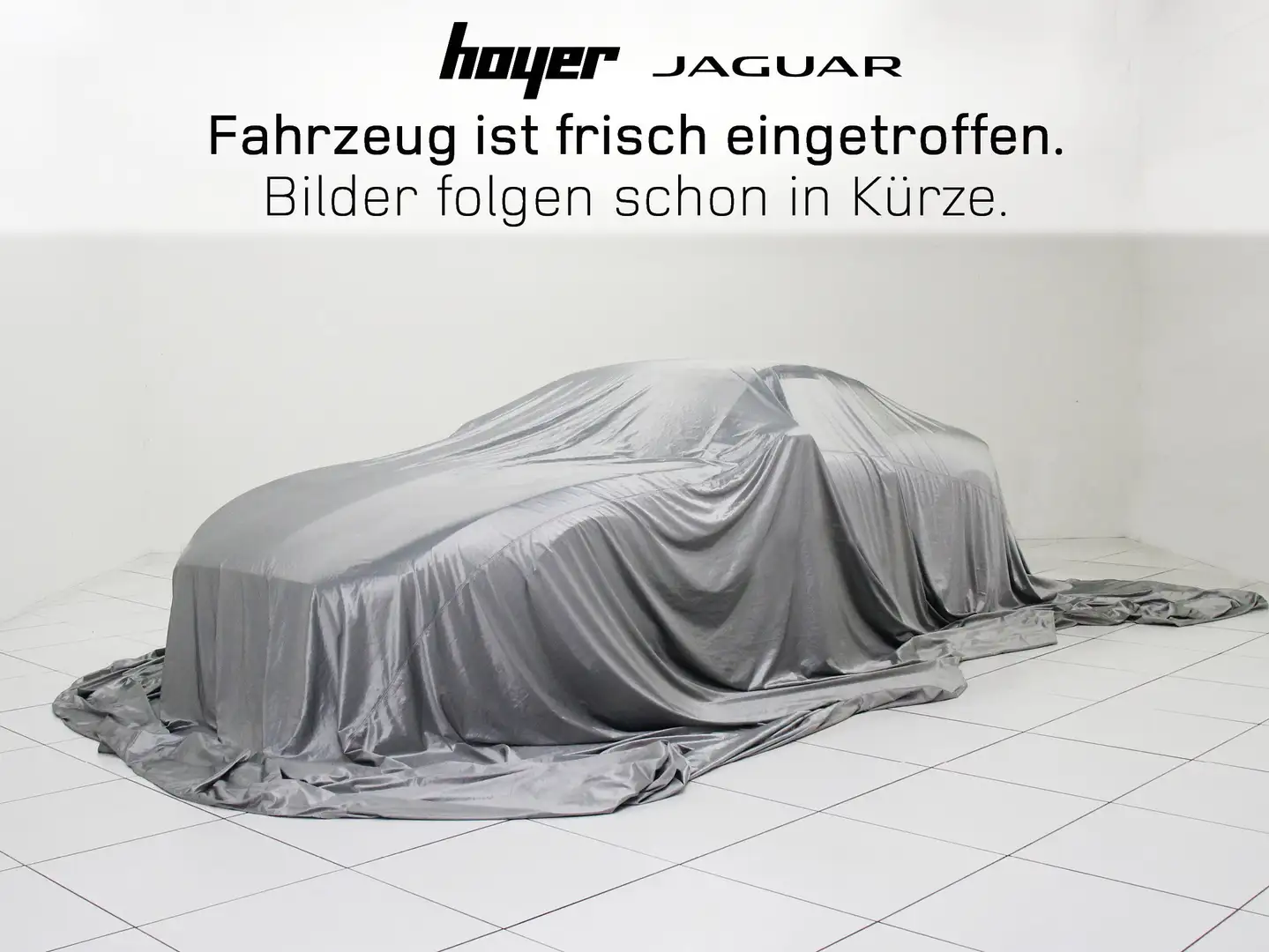 Jaguar F-Pace D200 AWD R-Dynamic SE AHK  DAB LED RFK Grau - 1