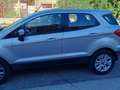 Ford EcoSport EcoSport 1.0 ecoboost Business c/navi 125cv Grigio - thumbnail 2