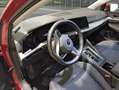 Volkswagen Golf 1.5 eTSI Life DSG 110kW Amarillo - thumbnail 7