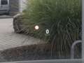 smart #1 Pulse AWD (66kWh) #Panoramadach#360#HUD#Memo Noir - thumbnail 13