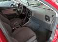 SEAT Leon 1.6TDI CR S&S Reference Plus 115 Burdeos - thumbnail 12
