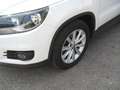 Volkswagen Tiguan 1.4 tsi bm Trend SOLO KM 64000 CERTIFICATI Blanc - thumbnail 5