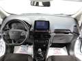 Ford EcoSport 1.5 TDCi 125 CV Start&Stop AWD ST-Line Wit - thumbnail 9