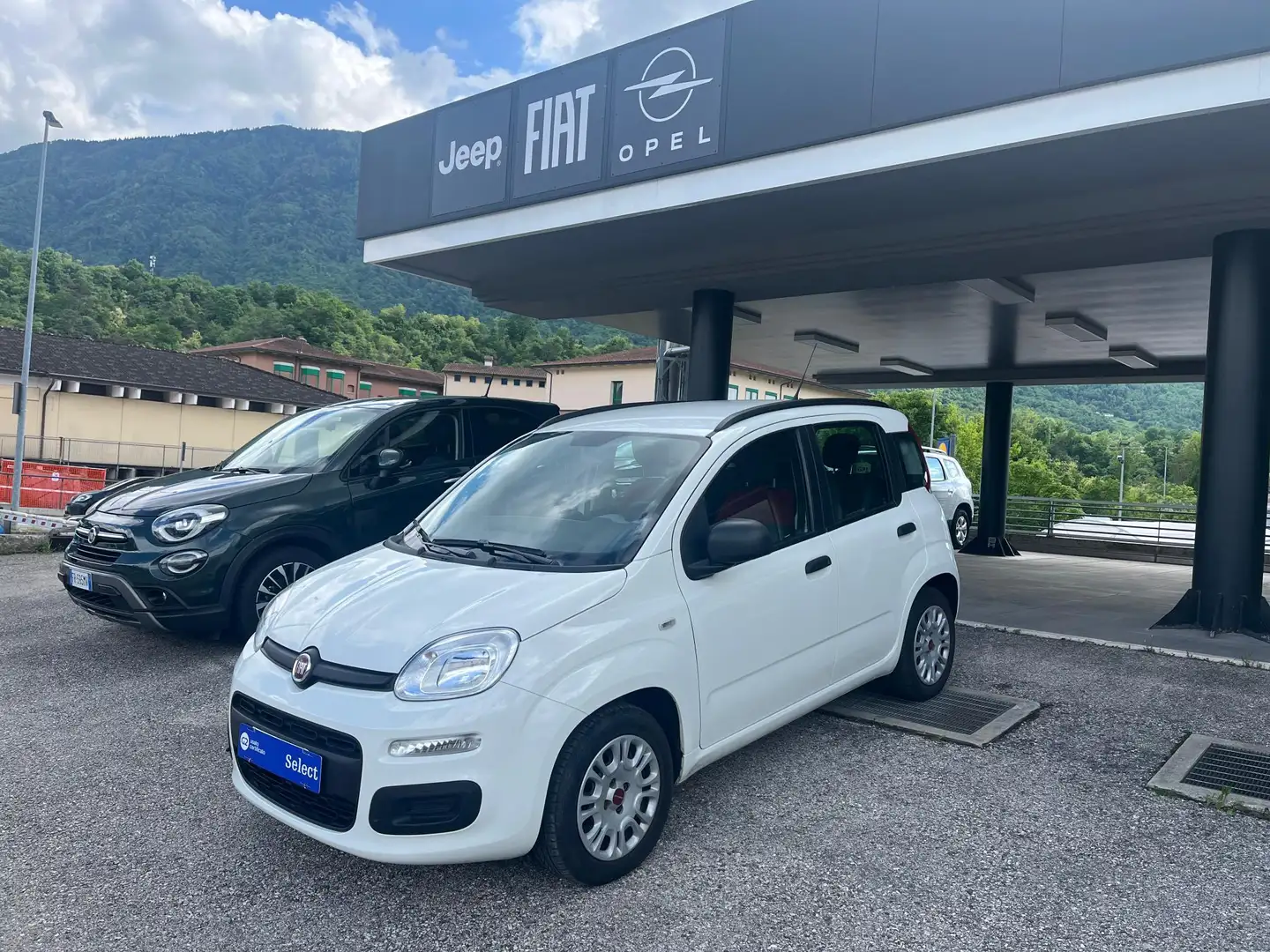Fiat Panda 1.2 Lounge 69cv Bianco - 1