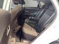 Hyundai KONA Kona 2025 5p  1.0 T-GDI 100cv 6m  Business Bianco - thumbnail 11