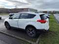 Toyota RAV 4 RAV4 124 D-4D 2WD White Edition - thumbnail 4