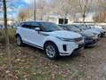 Land Rover Range Rover Evoque P300e AWD S*360-Kamera* Weiß - thumbnail 2
