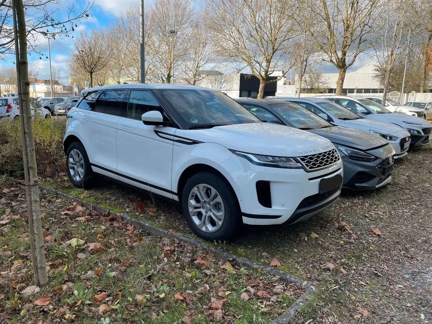Land Rover Range Rover Evoque P300e AWD S*360-Kamera* Weiß - 2