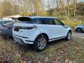 Land Rover Range Rover Evoque P300e AWD S*360-Kamera* Weiß - thumbnail 3