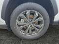 Toyota RAV 4 RAV4 2.5 D Team Deutschland ACC FLA SpurH LM Weiß - thumbnail 15