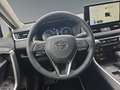 Toyota RAV 4 RAV4 2.5 D Team Deutschland ACC FLA SpurH LM Weiß - thumbnail 13
