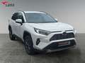 Toyota RAV 4 RAV4 2.5 D Team Deutschland ACC FLA SpurH LM Weiß - thumbnail 8