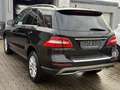 Mercedes-Benz ML 350 ML 350 BlueEfficiency Schwarz - thumbnail 6