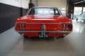 Ford Mustang 302 V8 (4.9 Litre) Coupe Super driver (1968) Rood - thumbnail 33